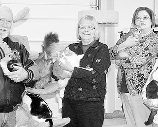The Vindicator/Nick Mays
CUDDLING: Proceeds from a Night at the Races being sponsored by the Second Chance Animal Rescue on Feb. 6 at the Saxon Club, in Austintown, will directly benefit rescued animals. A few of the cats the shelter is making available for adoption are cuddled by volunteers, from left, Roy Reese, Debbie Morgan, Colleen Young-Village, and Helen Dolak, who are assisting with the fundraiser.
