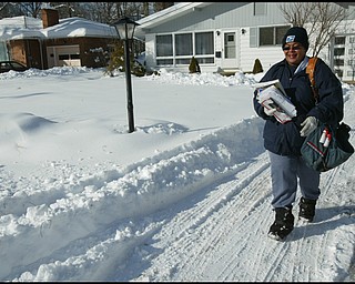 William D. Lewis/The Vindicator  Anna Marie Glover, a 24 year veteran of the US Postal Service delivers mail along Lakeshore Blvd in Boardman Monday. She said deep snow makes her job challenging.