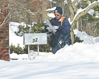 ON THE ROUTE:  Anna Marie Glover, a 24-year veteran of the U.S. Postal Service, delivers mail along Lakeshore Boulevard in Boardman.  She said Monday that deep snow makes her job challenging.