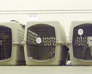 More than 100 dogs were seized from a Gustavus Township home last week. The Animal Welfare League is caring for the animals at undisclosed locations.