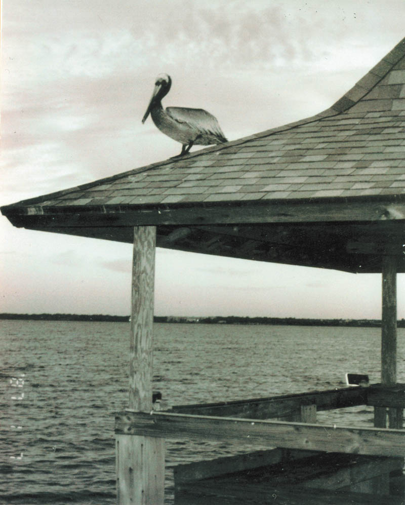 Photo detail