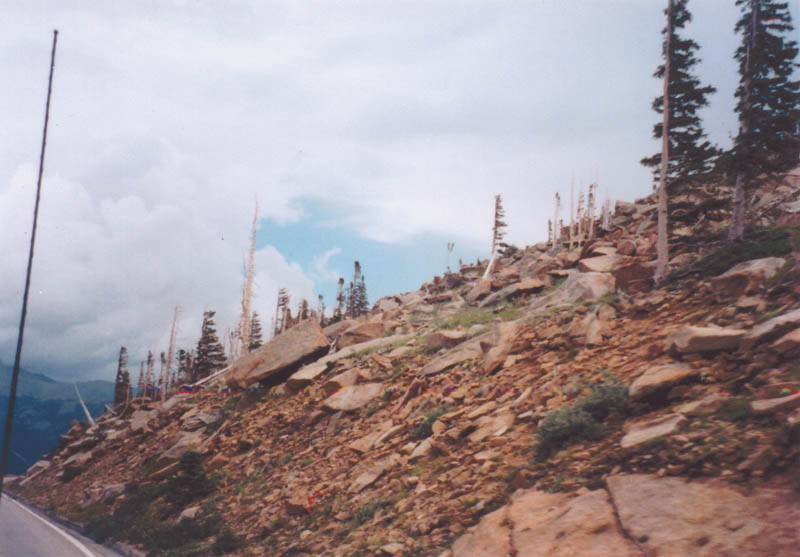 Photo detail