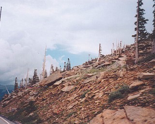 Elli Rinko of Canfield sent this picture of the Tundra at Rocky Mountain National Park.