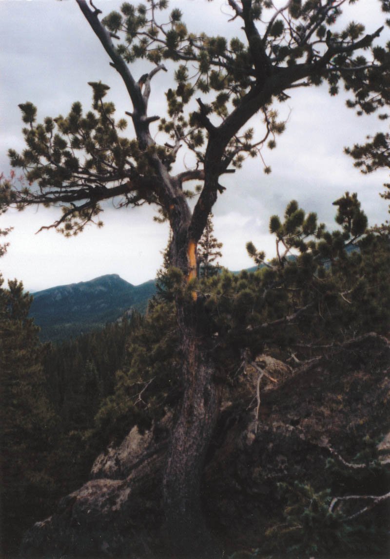 Photo detail