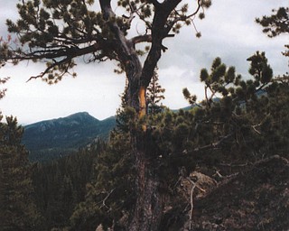 Elli Rinko of Canfield sent this picture taken at Rocky Mountain National Park.