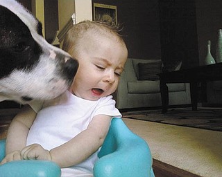Yuck! A.J. Holtzman of Charlotte, N.C., didnÕt want any part of this doggie kiss. She is the daughter of Allen and Mindy Holtman formerly of Poland and North Lima..