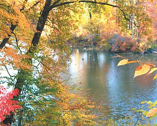 Mill Creek Park in the fall by Brenda Kiddon of Poland.