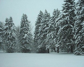 Submitted by Joe Dalessandro. Taken Feb. 6 in Liberty Township..