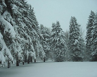 Submitted by Joe Dalessandro. Taken Feb. 6 in Liberty Township..