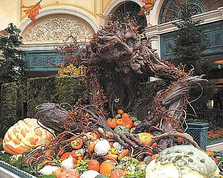 Elli Rinko of Canfield sent us this picture of the Bellagio in the fall of 2009..