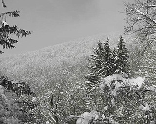 Hacker Valley, West Virginia, taken by Ellen W. Conrad of Salem..