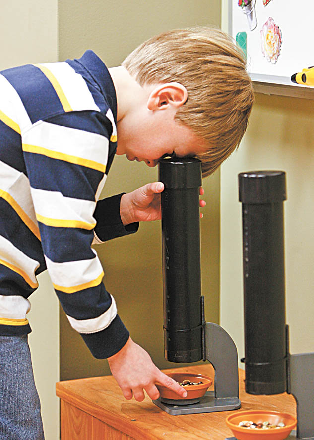 Super Seeds program at  Mill Crek MetroParks  Fellows Riverside Gardens - Students of South Range Elementary first graders for Mrs Gerri Less learn what a seed is and what it needs to germinate. The students were able to plant a seed in a small pot. germinate a lima bean in a plastic pouch with no soil and see different types of seeds. Garrett Sheets looks at a kaleidoscope of seeds as he sees different sizes and color of seeds.