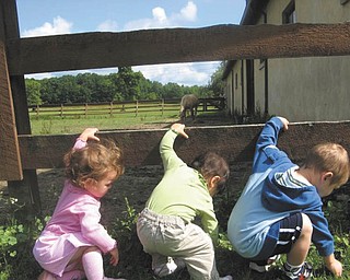 This Easter picture was taken in Hubbard by Katy Temelkoff. Included are, from left, Ali Schirf of Port Maltilda, Pa.; Lily Temelkoff of Bahama, N.C.; and Adam Schirf of Port Maltilda..
