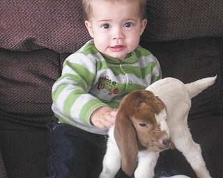 13-month-old Trenton loves animals, especially his baby goat..