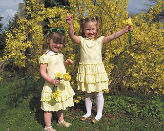 Dressed in their yellow Easter dresses, Natalie and Bridget, daughters of Nick and Patty DiVencenzo of Struthers, were a perfect match to the springtime blossoms of forsythia, daffodils and tulips. They posed for this picture following an Easter egg hunt at the home of their cousins, Mike and Laurie Fox of Lowellville..