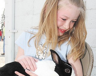FARM - 8 year old Autumn Reed of Boardman cuddles with a rabbit Sunday afternoon. - Special to The Vindicator/Nick Mays