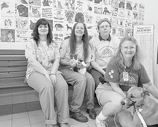 LISA-ANN ISHIHARA | THE VINDICATOR: Helping to complete arrangements for the Gigantic Garage Sale to be sponsored by Angels for Animals are, seated from left, Dr. Cheryl Whitfield, veterinarian; Diane Less, Angels founder, holding Runto; and George Beaver, systems manager; and in front, Mary Ann Karas, office manager, with Sammy.