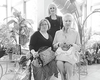 The Vindicator: Displaying some of the merchandise that will be available for sale during the Girls Night Out events at Fellows Riverside Gardens are, from left, Lori Mowad, committe member; Jeanne Simeone, event chair; and Becky Tenant, committee member.