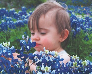 Briana Pietsch, 1, of San Antonio, Texas, is admiring the blue bonnets. She is the granddaughter of Joe and Linda Pagano of Girard.