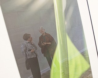 LISA-ANN ISHIHARA | THE VINDICATOR ..L-R Jennifer Johnston of Kent and her former college roommate and good friend, Maureen Cole of Kent are reflected in "Peace" a photograph from Michael Cole's exhibit "Outside/In: Photographs" at The Butler Institute of American Art, Sunday, May 2, 2010
