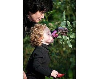 Christine Seibert of Canfield and her granddaughter, Sophia Scarmack of Canfield.
