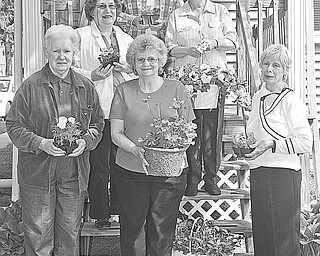 NICK MAYS | THE VINDICATOR
The Friends of Children’s Aid Society of Mercer County will sponsor a flower, yard and bake sale from 9 a.m. to
4 p.m. Friday and 9 a.m. to 1 p.m. Saturday, at 350 W. Market St., Mercer, Pa. A few of the annuals, perennials, flats, decorative pots, herbs and vegetable plants to be offered at the event are displayed by, from left in front, Joan Foster, Carol Smith and Darlene McBride; in middle, Ruth Wingard and Sandy Stainbrook; and at back, Liz Bolster. Lunch will be available, and there will be a sale of antiques, miscellaneous items and a variety of baked goods. Plants can be pre-ordered by calling (724) 662-4730 or (724) 588-6203.
