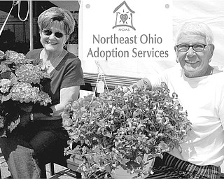Delighted with the profusion of blossoms on plants they have assembled for the ongoing Northeast Ohio Adoption Services plant sale are from left, Janet Weller and Gere Weller, co-chairwomen for the fundraiser.