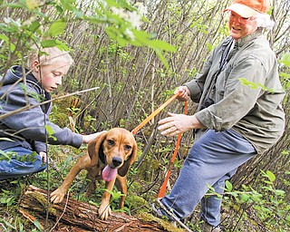 Devon Williams, 10, of Hubbard pets Black Betty, a beagle, as Monica Bassett holds the leash. They’re in a three-acre fenced “puppy pen,” where young dogs can safely learn to trail rabbits and youths can learn how to handle their dogs.