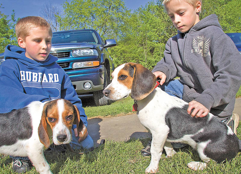 Derek, left, and Devon Williams, both 10, of Hubbard, pet beagles Scotty and Casey at Hubbard Conservation Club, where Trumbull County Beagle Club will sponsor Youth Beagle Day on Saturday at club grounds. The beagle club promotes the breed and conducts hunts. 