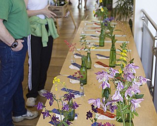 LISA-ANN ISHIHARA | THE VINDICATOR..David and Joan Updegraff of Austintown, look at the horticulture section of the Garden Forum Spring Flower show inside Fellow Riverside Gardens.