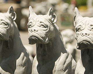 ROBERT K. YOSAY | THE VINDICATOR...Standing guard three concrete boxers at Farmer Dave's Gift and Garden Shoppe in North Lima -- 30-