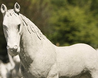 ROBERT K. YOSAY | THE VINDICATOR...Almost pony size a horse seemingly looks up from grazing at Farmer Dave's Gift and Garden shop in North Lima -- 30-