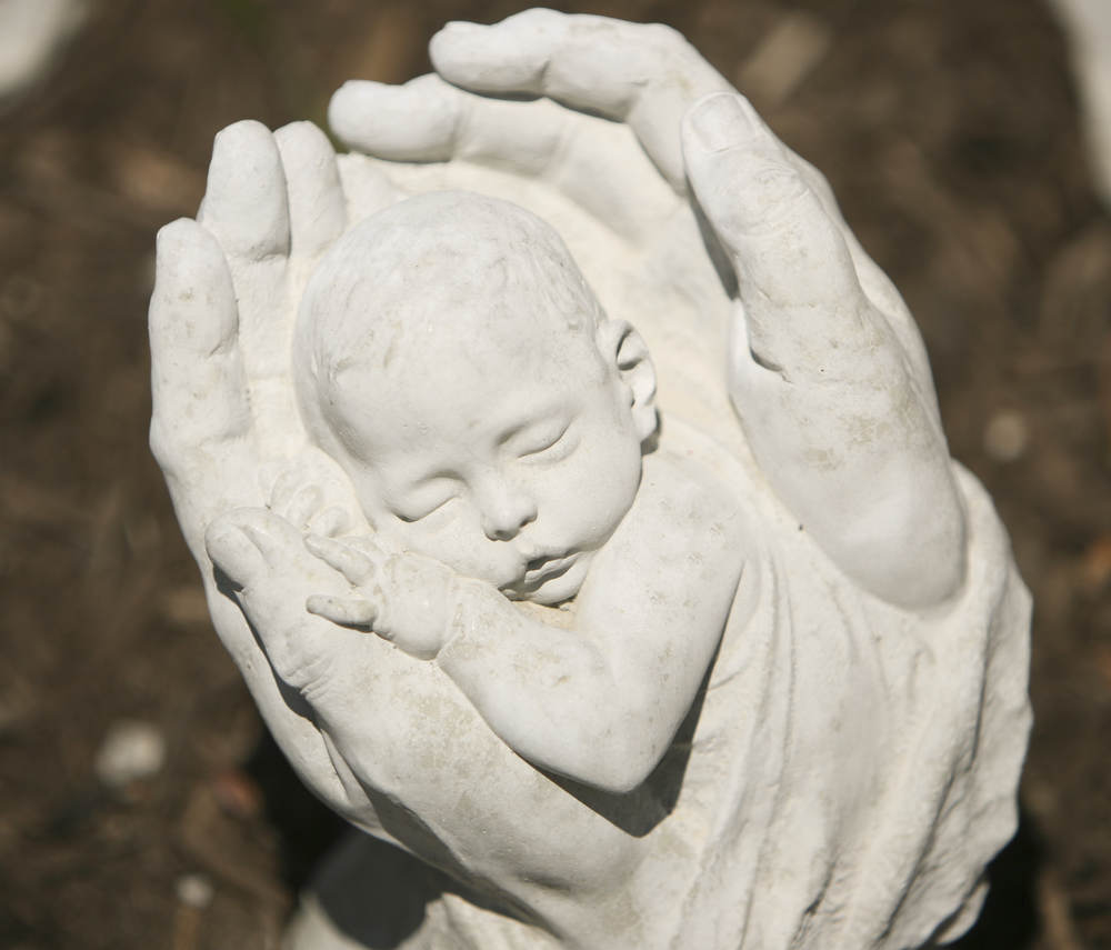 Photo detail