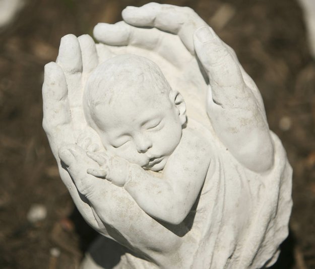 Photo detail