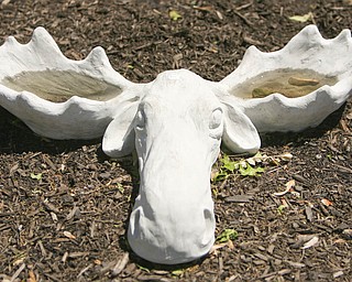 ROBERT K. YOSAY | THE VINDICATOR..A Moose that uses its horn rack as a feeder and waterer or just both waterers - at Farmer Dave's Gift and Garden shop in North Lima -- 30-