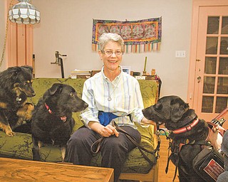 Tara McKibben of Youngstown, who has multiple sclerosis, sits with her pet dogs Suka, Hiko, and her canine helper, April. McKibben hopes to raise $1,000 for Canine Partners for Life of Pennsylvania. If she raises
the most money, April will get a day off from assisting McKibben.