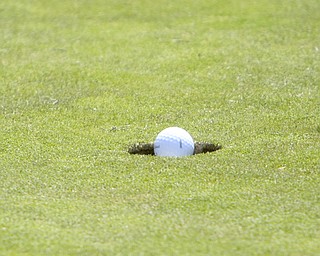 ROBERT K. YOSAY | THE VINDICATOR..Jason Lariccia Pro at Kensington -