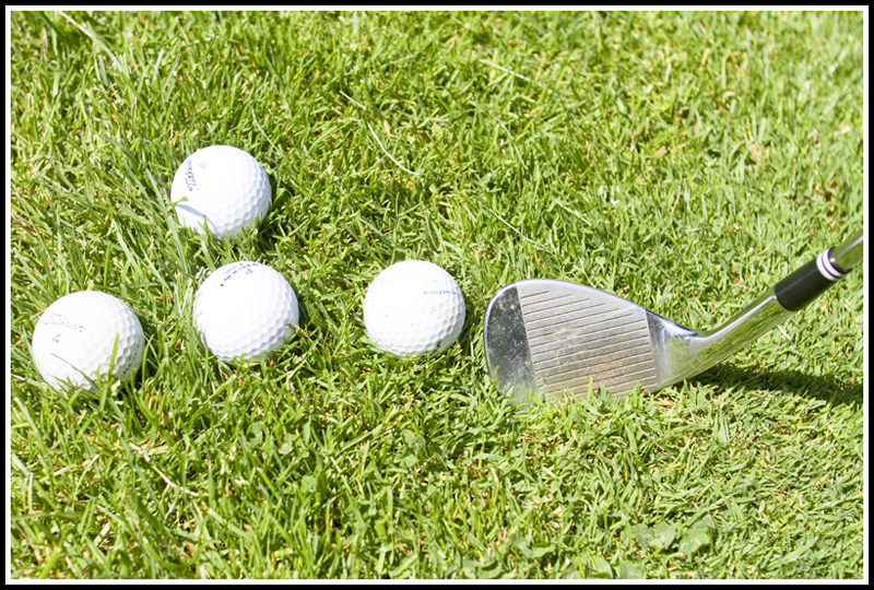 5.26.2010.Tam O'Shanter of PA golf course