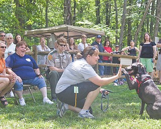 Emily McVicker of Bristolville and her dog Lady show the judges how they give high-fi ves to each other. Lady, an 11-month-old charcoal Labrador retriever, won the “Most Unusual” trick competition at Doggie Days at Mosquito Lake Dog Park in Bazetta on Sunday.