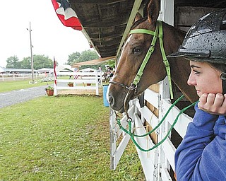Katier Chandler, 18, of Champion and her horse "Roxie" stay dry while waiting to compete in a 4H event at the Trumbull County Fair Thursdazy. wdlewis