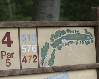 ROBERT K. YOSAY | THE VINDICATOR...Salem Hills GC- Hole #4 Light green Shirt is Ben Broderick- Yellow Shirt Tan shorts Chad Hanysh and Yellow Shirt and Dark Shors is John Clacko -30--