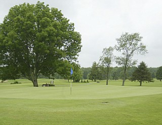 ROBERT K. YOSAY | THE VINDICATOR...Salem Hills GC- Hole #4 Light green Shirt is Ben Broderick- Yellow Shirt Tan shorts Chad Hanysh and Yellow Shirt and Dark Shors is John Clacko -30--