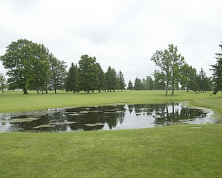 ROBERT K. YOSAY | THE VINDICATOR...Salem Hills GC- Hole #4 Light green Shirt is Ben Broderick- Yellow Shirt Tan shorts Chad Hanysh and Yellow Shirt and Dark Shors is John Clacko -30--