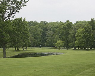 ROBERT K. YOSAY | THE VINDICATOR...Salem Hills GC- Hole #4 Light green Shirt is Ben Broderick- Yellow Shirt Tan shorts Chad Hanysh and Yellow Shirt and Dark Shors is John Clacko -30--