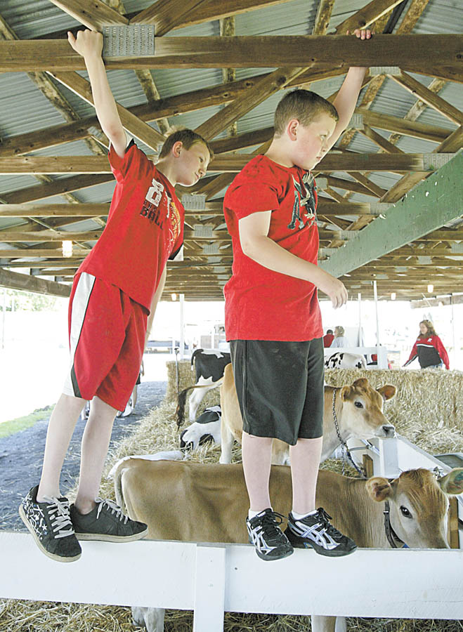 Hanging out in the cow barns at the Trumbull County Fair Tuesday were John Bates, left, of Kinsman and Brandon Elsea of Hartford. Both are 11.