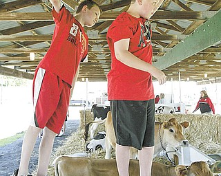 Hanging out in the cow barns at the Trumbull County Fair Tuesday were John Bates, left, of Kinsman and Brandon Elsea of Hartford. Both are 11.