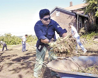 Lien Forward and V&M Star organized a group of about 30 volunteers to spruce up a vacant lot at the corner of Oakland Avenue and Columbia Street in Youngstown’s Brier Hill area Wednesday. Above, Robert Flores, a V&M Star employee and member of V&M’s Sons and Daughters program, helps clear brush from the lot.
