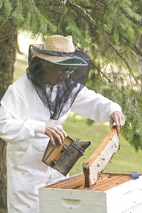 Brashen uses a smoker to keep bees at bay as she inspects a frame filled with honey. Her beekeeping outfit is a white jumpsuit that zips because buttonholes would allow wayward bees in. .