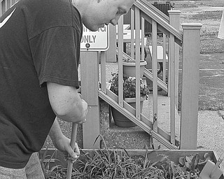 Volunteer gardener: Struthers Historical Society welcomed a group of developmentally disabled individuals from No Limits Alternative Day Center and the Ginnetti Center who volunteered their services on June 21 to plant a variety of flowers in time for the Struthers High School All Class Reunion. Great gardening tips provided by Marian Kutlesa and Laddie Fedor, historical society members, are practiced by this young man as he prepares for one of the many jobs the group will provide within the community.