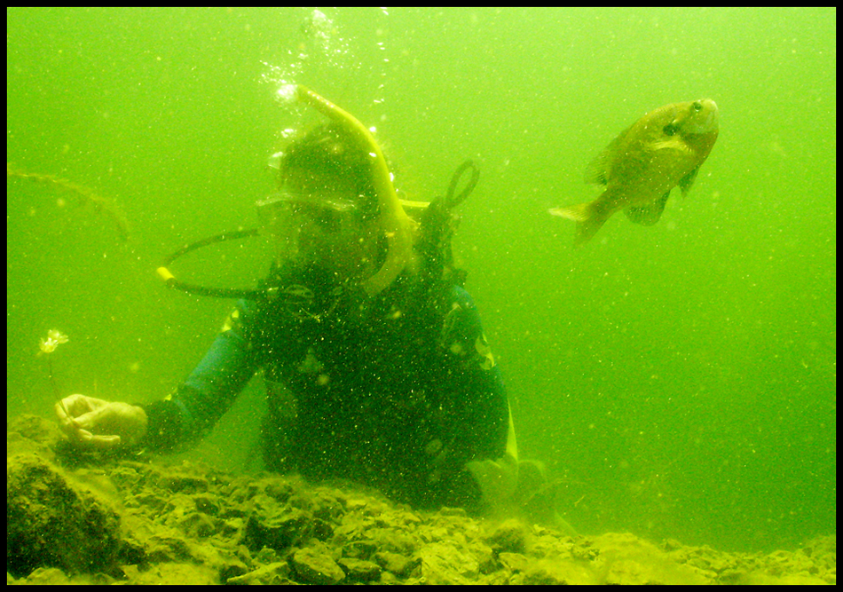 Geoffrey Hauschild|The VIndicator.Aimee Campbell, of Union Twp., in Fox Quarry a lake created from an old limestone quarry B&B Diving in Hillsville PA.